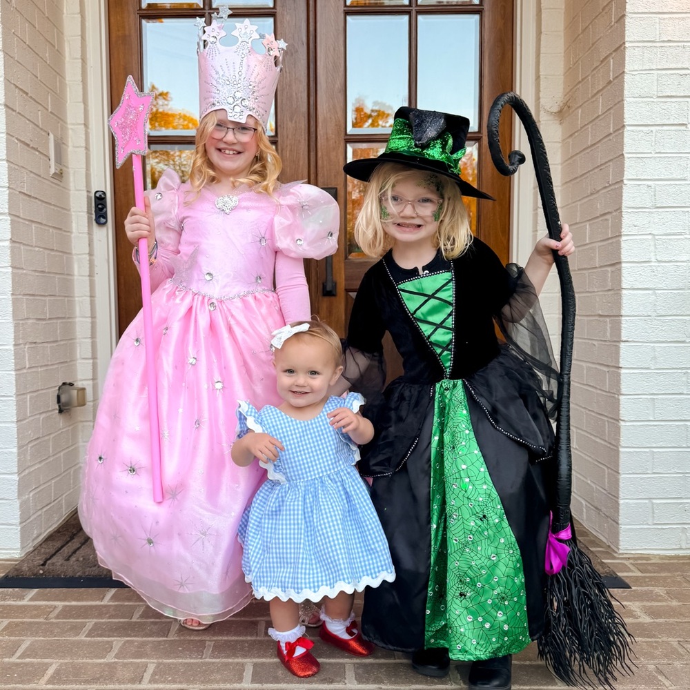 Wicked Halloween costume. Elphaba only